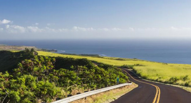 View driving down the road in Hawaii